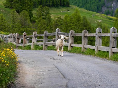 Livigno