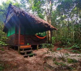 7 jours en stage de détox numérique et pleine conscience avec yoga et méditation en retraite dans la jungle amazonienne, Pérou - Photo 5