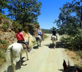 6-Daagse Korte Vakantie en Paardrijtour in La Alpujarra, Andalusië, Spanje - Photo 4