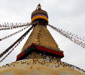 10 jours en séjour de yoga et trek de Ghorepani à Poon Hill au Népal - Photo 4