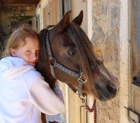 98 Day Fun Week Kids Horse Riding Holiday in Hersonissos, Crete, Greece - Photo 1
