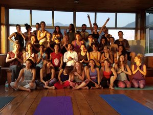 28 Day 200-Hour Yoga Teacher Training: Vinyasa, Ashtanga in Rishikesh