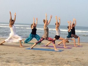 Best 23 Day Luxurious 200-Hour Yoga Teacher Training Retreat in Kalpitiya, Sri Lanka