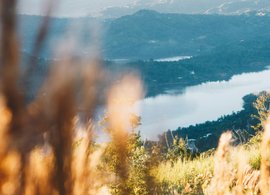 Utuado Retreats & Trips