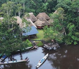 6-Daagse Onvergetelijke Amazone Reis in het Cuyabeno Wildlife Reserve Ecuador - Photo 4