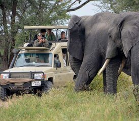 5 jours en stage safari au lac Manyara, au Serengeti et dans le cratère du Ngorongoro en Tanzanie - Photo 3