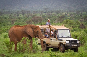 4 Tage Samburu- und Ol-Pejeta-Safari in Kenia