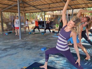 8 Day Yoga and Transformational Healing Arts Retreat in Polem, Goa, in India