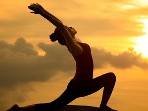 27 Day 300-Hour Transformational Yoga Teacher Training in Katunaike Near Colombo Airport, Sri Lanka