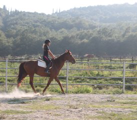 73-daagse weekend paardrijvakantie voor beginners in Toscane - Photo 1