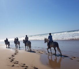 8 Tage Reittraining und Ranchurlaub in Sidi Boulfdail, Tiznit, Marokko - Photo 5