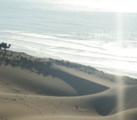 3-Daagse Surfcoaching Vakantie in Sidi Kaouki Villa - Beach House, Essaouira, Marokko - Photo 4