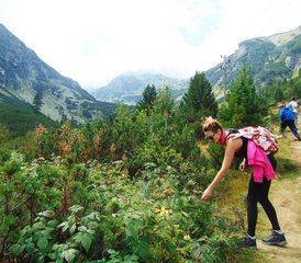 6 Day Yoga Retreat and Thermal Mineral Water Pool in Rila National Park, Bulgaria - Photo 4