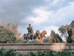 Mexico City Retreats & Trips