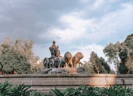 Mexico-Stad Retraites en Reizen