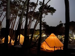 8 Day Surf Camp for All Levels in Sagres, Vila do Bispo, Portugal