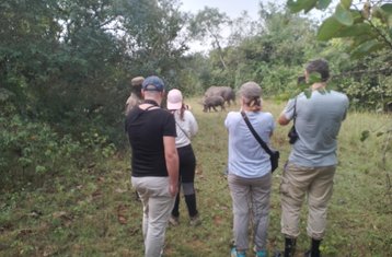 8 Tage Big Five, Gorillas und Schimpansen Safari in Uganda