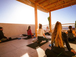 8 Day Amazing Surf and Yoga Retreat in Tamraght, Morocco