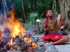 5 dagen – 2 x Ayahuasca-intensief, Bufo, Kambo en Temazcal in Cancun, Mexico
