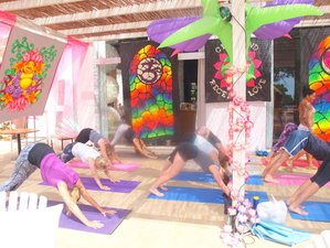 5 Days Luxury Yoga Festival in Alicante, Spain