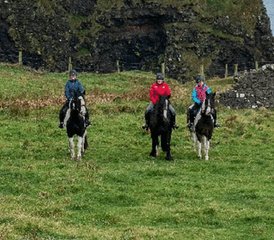 4 Day Iconic Coastal Horse Ride Tour to Dunluce Castle and Giant's Causeway in Northern Ireland - Photo 3