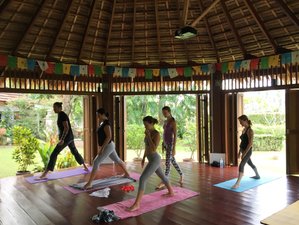 7 Days Detox and Yoga Retreat in Koh Samui, Thailand
