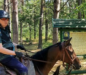 4 Day Center-based Horse Riding Holiday in the Wild Bug River Valley, Poland - Photo 2