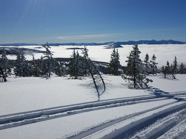3 Day Private Wilderness Snowmobile or ATV Guided Tour in Darby, Montana photo 7