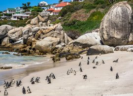 Simon's Town Retraites et Voyages