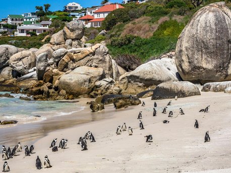 Simon's Town