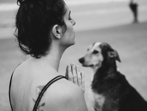 7 Tage 50 Stunden Yin Yoga Spezialisten Lehrerausbildung in Goa