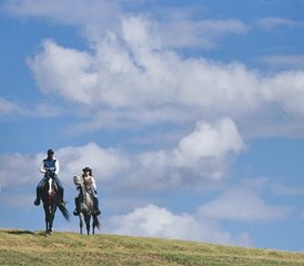 7 Tage Premium Geführter Reiturlaub in China: Pekinger Wahrzeichen, Graslandpfade und Reitkultur - Photo 3