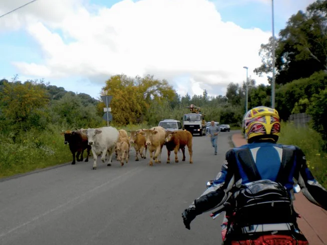 8 Day Self-Guided Motorcycle Tour of Sardinia, Italy photo 4