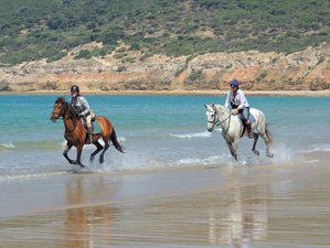 8 Days Superb Horse Riding Holiday Andalucia, Spain