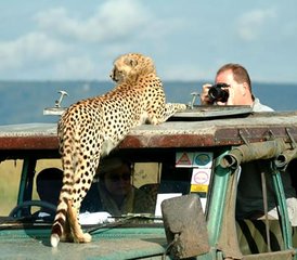 2 Tage Road Safari im Tsavo East Nationalpark von Mombasa, Kenia - Photo 2