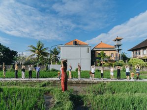 15 jours-200h en formation de professeur de hatha, ashtanga et vinyasa à Chiang Mai, Thaïlande