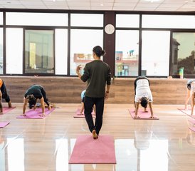 Authentische 24 Tage 200-Stunden Ashtanga-Vinyasa-Yogalehrer-Ausbildung in Rishikesh, Indien - Photo 4