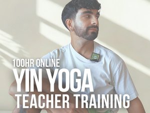100-Uur Online Yin Yoga Docentenopleiding over 5 Weekenden