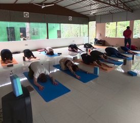 21 Day Rejuvenating Yoga and Himalayan Meditation Retreat with Ayurveda Massages in Rishikesh, India - Photo 3