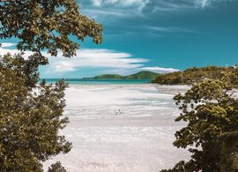 Pattaya Retreats & Trips