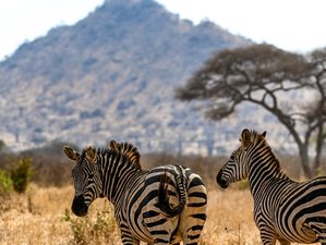 4 Day Safari Tour in Tarangire, Serengeti, and Ngorongoro Crater, Tanzania