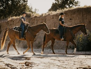 6 Day Unforgettable Rescue Horse Riding Vacation in New Mexico, USA