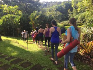 8 Day A Journey Inward - Nature Immersion Retreat in Carara, Costa Rica