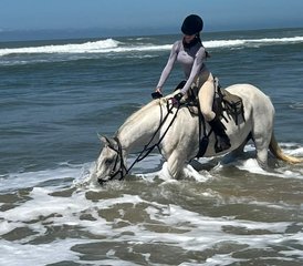 8 jours en stage d’équitation de travail sur la Côte sauvage d’Afrique du Sud - Photo 3