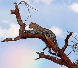 7 jours en stage d'expérience au bord du lac au Kenya - Photo 5