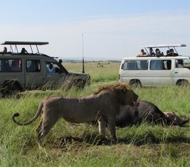 07-Daagse Perfecte Kenia Safari in Masai Mara, Lake Nakuru, Lake Naivasha en Amboseli - Photo 1