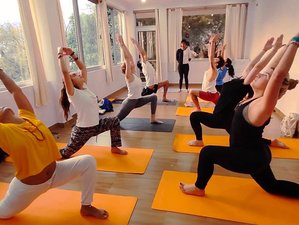14 Day 100-Hour Holistic Yoga Teacher Training in Rishikesh, Uttarakhand