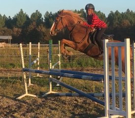 58 Day Teens' Show Jumping, Cross Country and English Training on Aquitaine Atlantic Coast, France - Photo 1