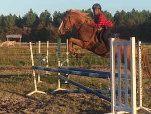 8-Daagse Teens Show Jumping, Cross Country en Engelse training aan de Atlantische kust van Aquitaine, Frankrijk