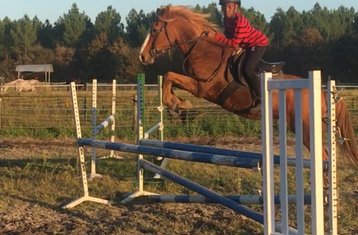 8 Tage Jugendspringreiten, Vielseitigkeit und Englischtraining an der Atlantikküste von Aquitanien, Frankreich
